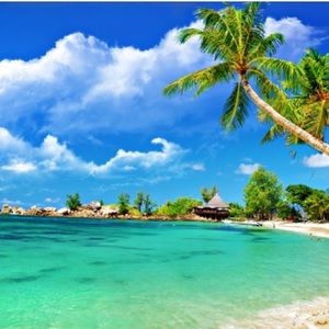 Meet your Posher, Rachael